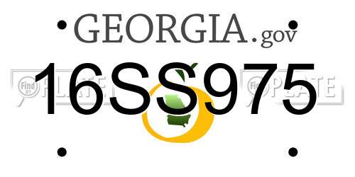 16SS975 Georgia License Plate