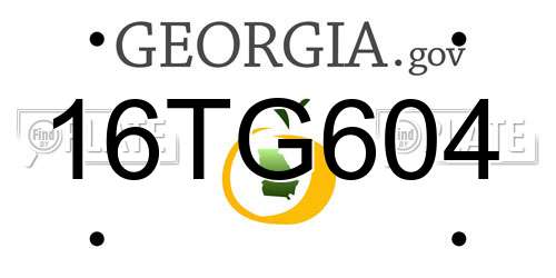 16TG604 Georgia License Plate