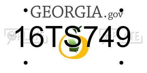 16TS749 Georgia License Plate