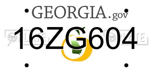 16ZG604 Georgia License Plate