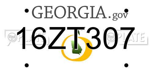 16ZT307 Georgia License Plate