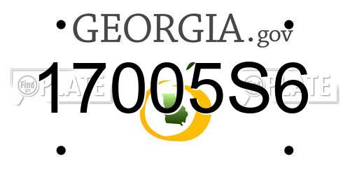 17005S6 Georgia License Plate