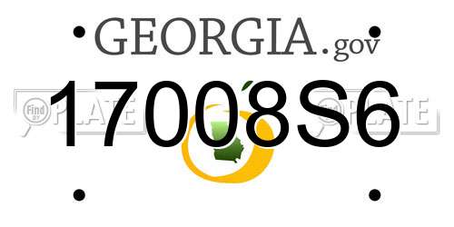 17008S6 Georgia License Plate