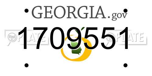 1709551 Georgia License Plate