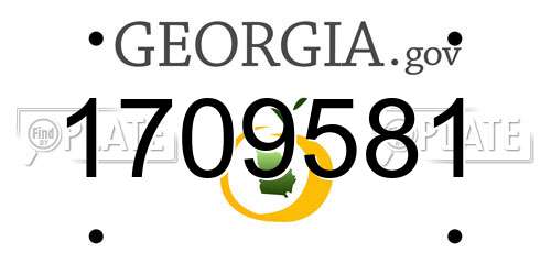 1709581 Georgia License Plate