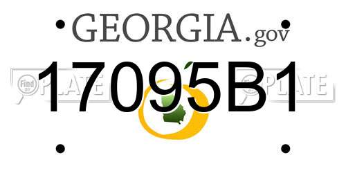 17095B1 Georgia License Plate