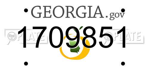 1709851 Georgia License Plate