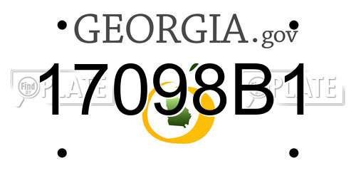 17098B1 Georgia License Plate