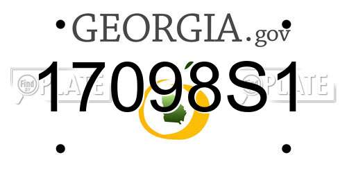 17098S1 Georgia License Plate
