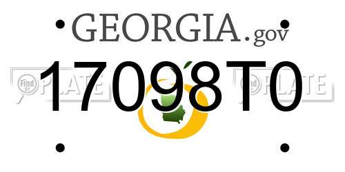 17098T0 Georgia License Plate