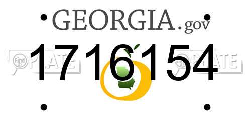1716154 Georgia License Plate