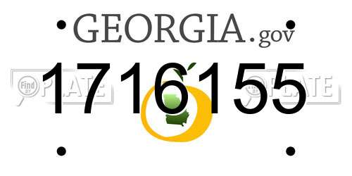 1716155 Georgia License Plate
