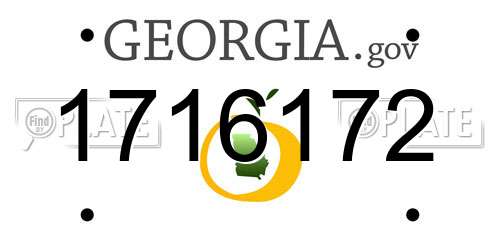 1716172 Georgia License Plate