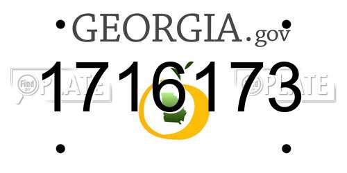 1716173 Georgia License Plate