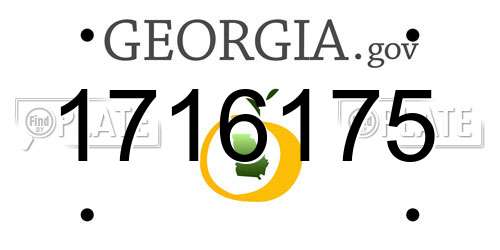 1716175 Georgia License Plate