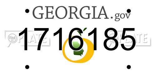 1716185 Georgia License Plate