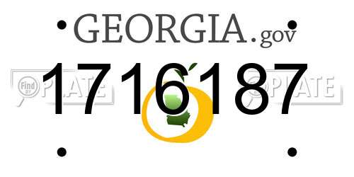1716187 Georgia License Plate