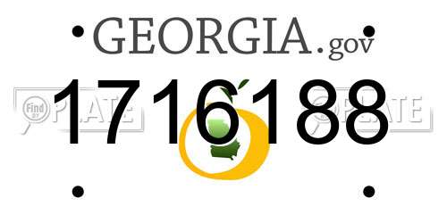 1716188 Georgia License Plate