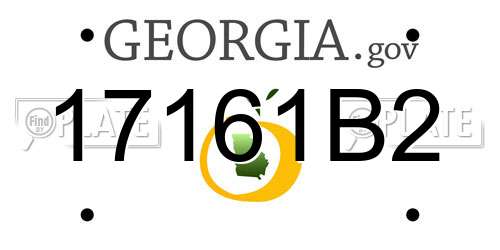 17161B2 Georgia License Plate