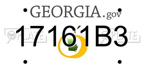 17161B3 Georgia License Plate