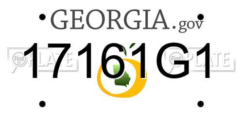 17161G1 Georgia License Plate