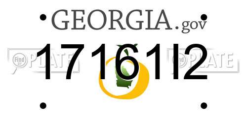 17161I2 Georgia License Plate