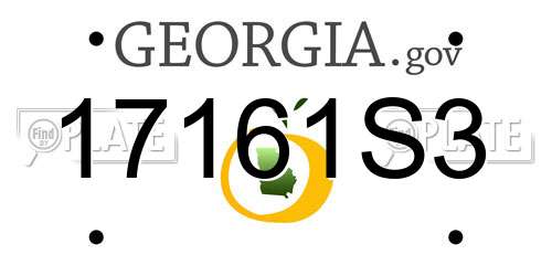 17161S3 Georgia License Plate