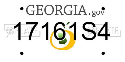 17161S4 Georgia License Plate