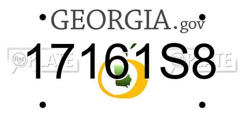 17161S8 Georgia License Plate