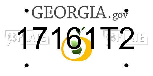 17161T2 Georgia License Plate