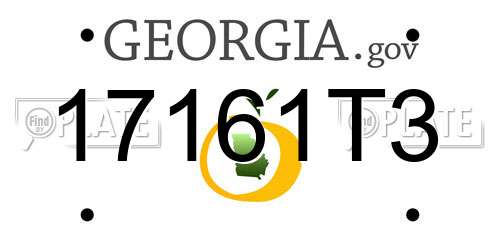 17161T3 Georgia License Plate