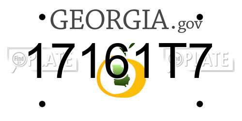 17161T7 Georgia License Plate