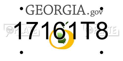 17161T8 Georgia License Plate