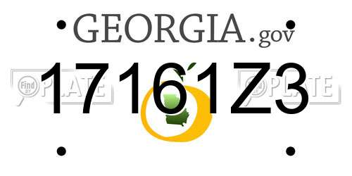 17161Z3 Georgia License Plate