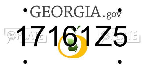 17161Z5 Georgia License Plate