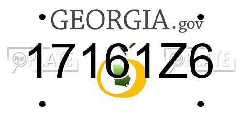 17161Z6 Georgia License Plate