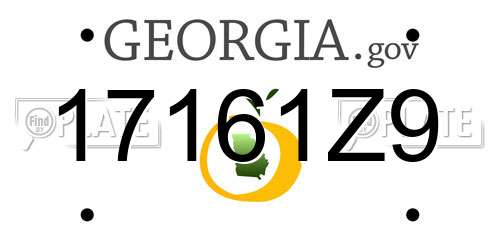 17161Z9 Georgia License Plate