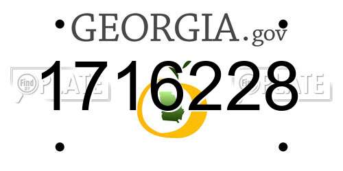 1716228 Georgia License Plate