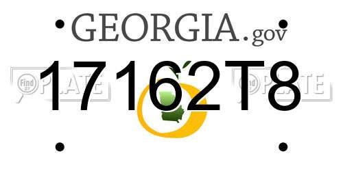17162T8 Georgia License Plate