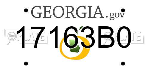17163B0 Georgia License Plate