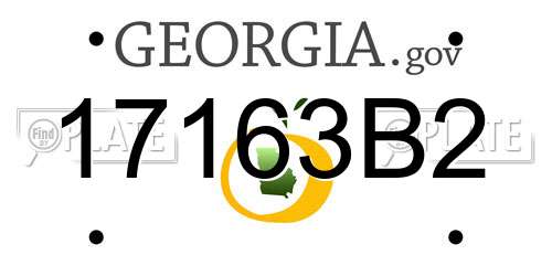 17163B2 Georgia License Plate