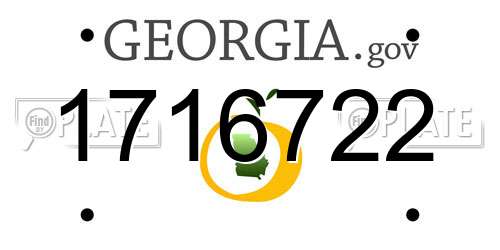 1716722 Georgia License Plate