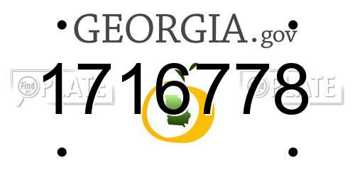 1716778 Georgia License Plate
