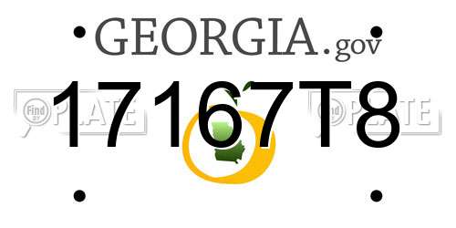 17167T8 Georgia License Plate