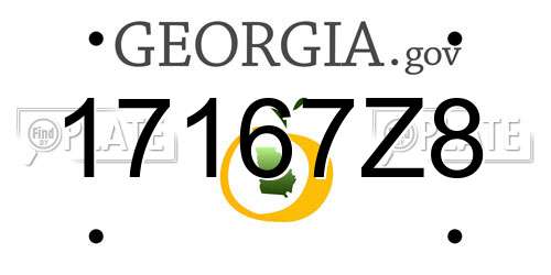 17167Z8 Georgia License Plate