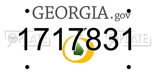 1717831 Georgia License Plate