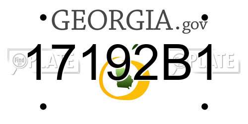 17192B1 Georgia License Plate