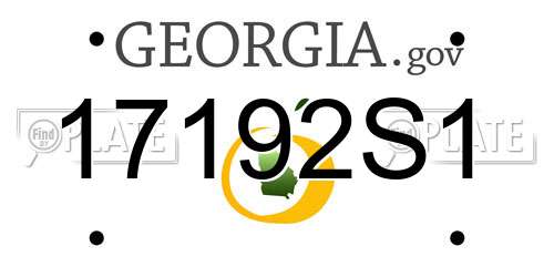 17192S1 Georgia License Plate