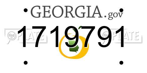 1719791 Georgia License Plate