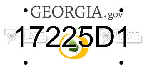 17225D1 Georgia License Plate